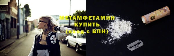 индика Горнозаводск