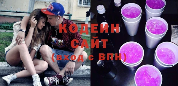 индика Горнозаводск