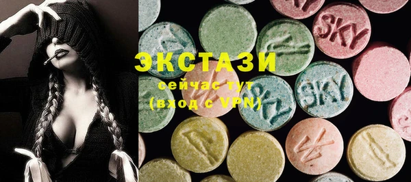 индика Горнозаводск